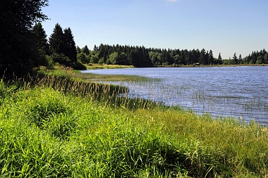 Pixhaier Teich (2) Buntenbock Oberharzer Wasserwirtschaft Bilder
